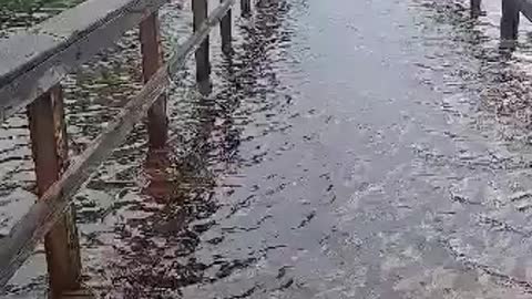Flooded docks
