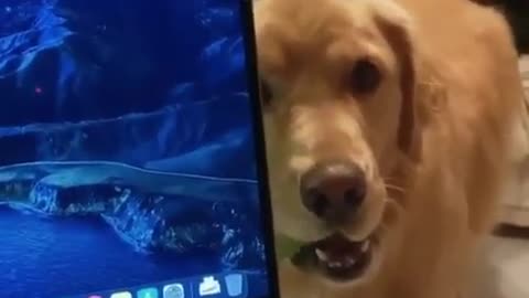 Play with me come on