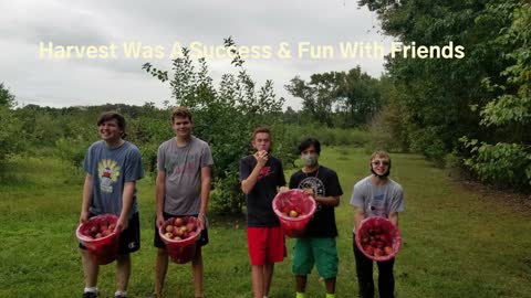 Busy V Hive Hard At Work - Apple Butter in NJ for The Fall