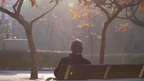 Clear Shots of Old Man Sitting on Park Bench