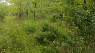 Abandoned Farm House Tour Someplace Pennsylvania, WalkinAndTalkinAcrossAmerica!