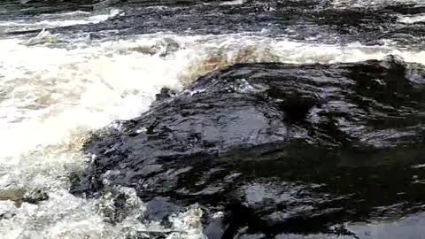 video river flowing through rapids