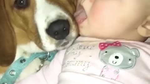 Baby and Dog cant stop Licking each other 😂😂
