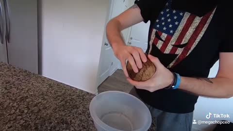 Open a Coconut with your head