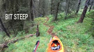 Kayaking Pipestone River with some carnage