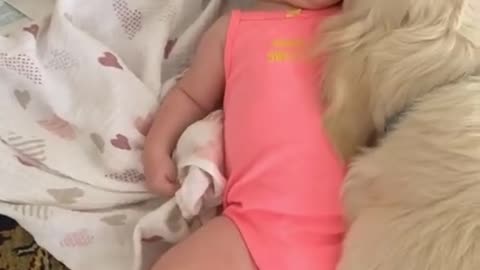 Dog making baby laugh a lot