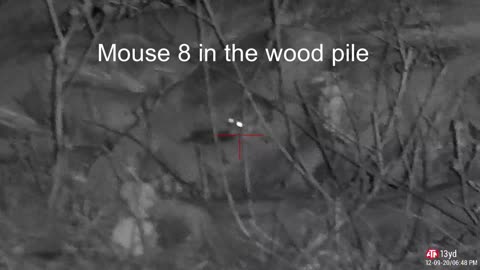 Bushido's HW100 Night Vision Rat Hunting Mice Episode 1