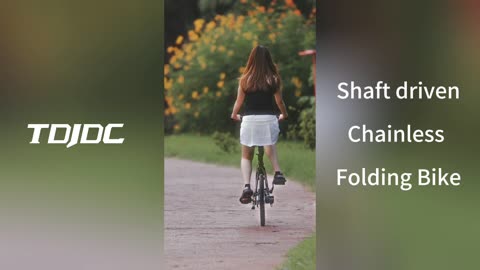 Shaft Driven No Chain Foldable Bike TDJDC E21