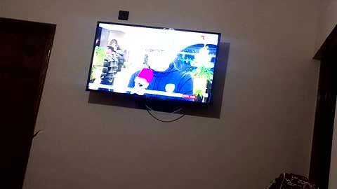 M'y tv