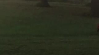 Cooper mowers the church lawn
