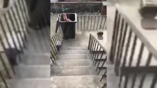 Girl Fell Into A Bin