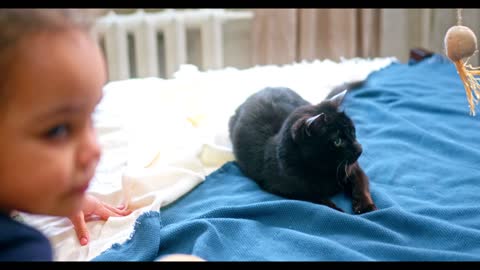 Playing With A Cat On The Bed