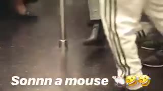 A mouse runs around subway car people scream
