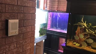 Part 3 aquarium 8 foot stand build