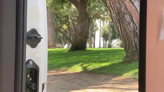 View From My Van ---- Palisades Park, Santa Monica