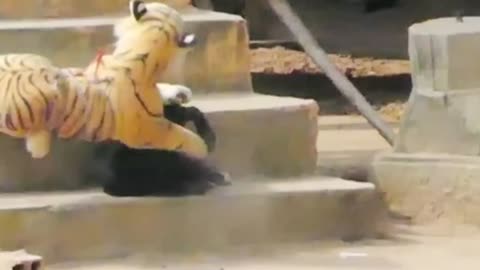 Unbelievable Fake Tiger Prank To Dog - Must-See Funny Video
