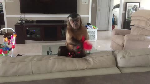 Gunner & His Toy monkey