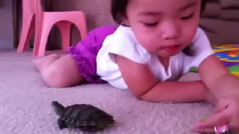 Tea trying feeding turtle of bayby 2 years old