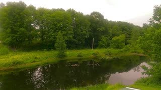 Two Dozen Canadian Geese Swimming on a Stream | Maine | GoPro Hero 9