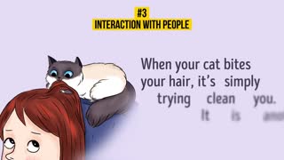 HOW TO UNDERSTAND YOUR CAT BETTER 20