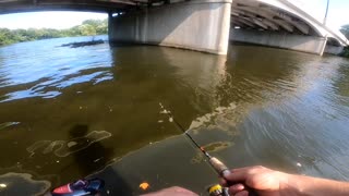 Fishing for crappie