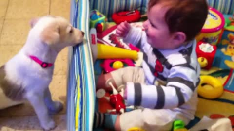 Cute little baby plays with cute little puppy