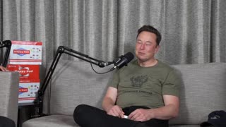 Elon musk jokingly says he wants to challenge Putin in a UFC fight