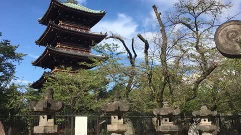 Old Shrine in China