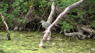 A little Saturday fishing.