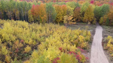 Fall Colors on a Northern Wisconsin ATV Trail