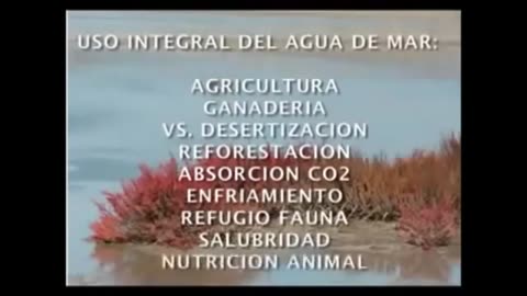 1. AGUA DE MAR ISOTONICA, LA GRAN SOLUCION PARA LA HUMANIDAD