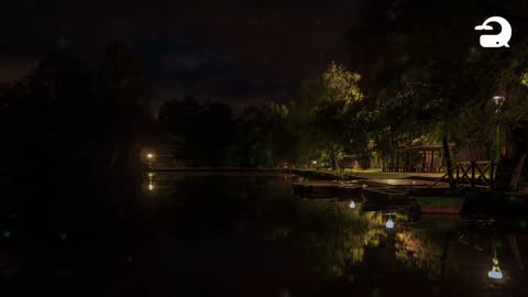 Peaceful Lake Sounds at Night _ Frogs, Crickets, Owls, Nature Sounds - Relaxing Sleep