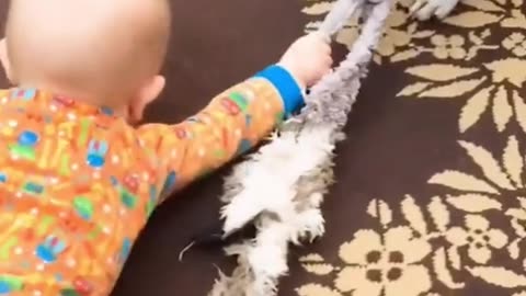 Cute baby and cat fight video 💝 funny 😍🤣 video amazing