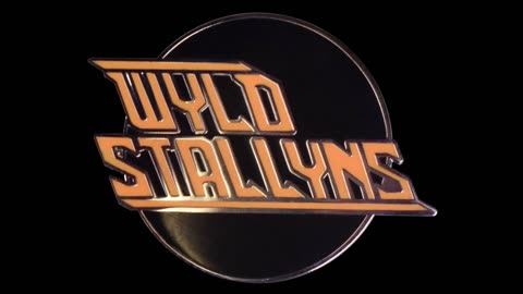 Wyld Stallyns w/ Ric Viera, & BD Slide 2/25/24, All Vinyl