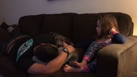This little girl loves pitbulls