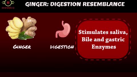 THE RESEMBLANCE OF FOOD