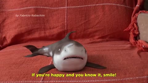 Baby Shark Happy