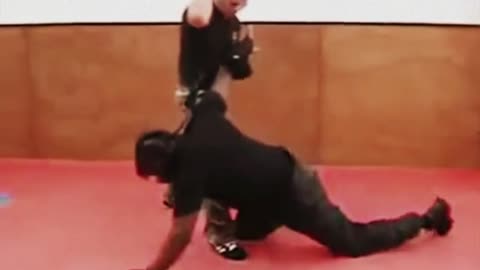 🥷🏼 Aikido Master Disarming
