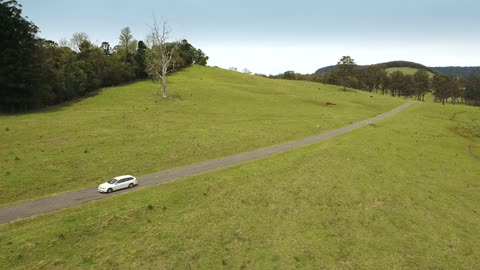 Travel Through Green Road