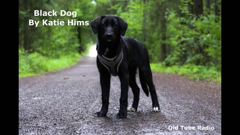 Black Dog By Katie Hims. BBC RADIO DRAMA