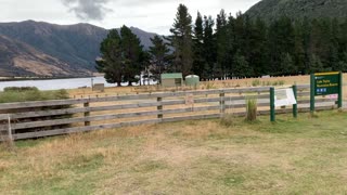 New Zealand lake Taylor doc camp ground