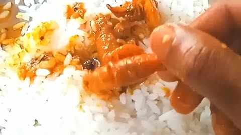 Chili prawn curry