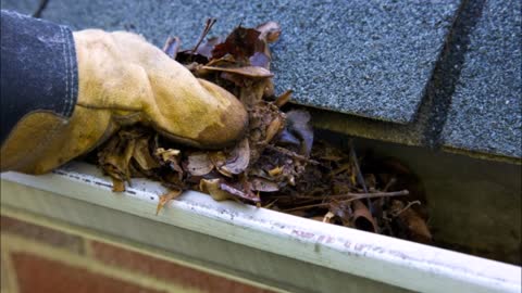DSW Gutter Cleaning Services - (669) 222-2131