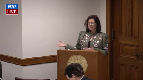 Christine Mckinnell Testifies During Georgia Senate Hearing on Election Issues