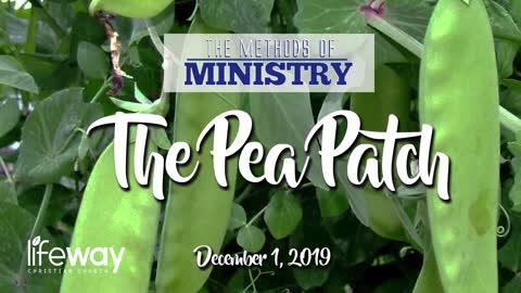 The Methods of Ministry: The Pea Patch - November 24, 2019