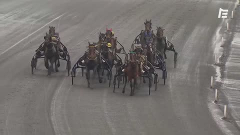 QUINTE + Fine Perle of Love - Prix de Cagny - Vincennes - 06.02.21