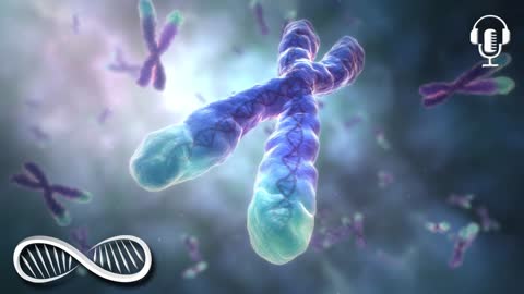 Ten Tips for Terrific Telomeres