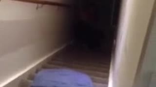 Stair Slide Fail