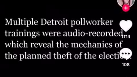 Detroit Leaks Election Fraud