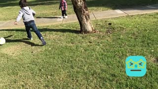 Soccer time on a beautiful summer day in Melbourne